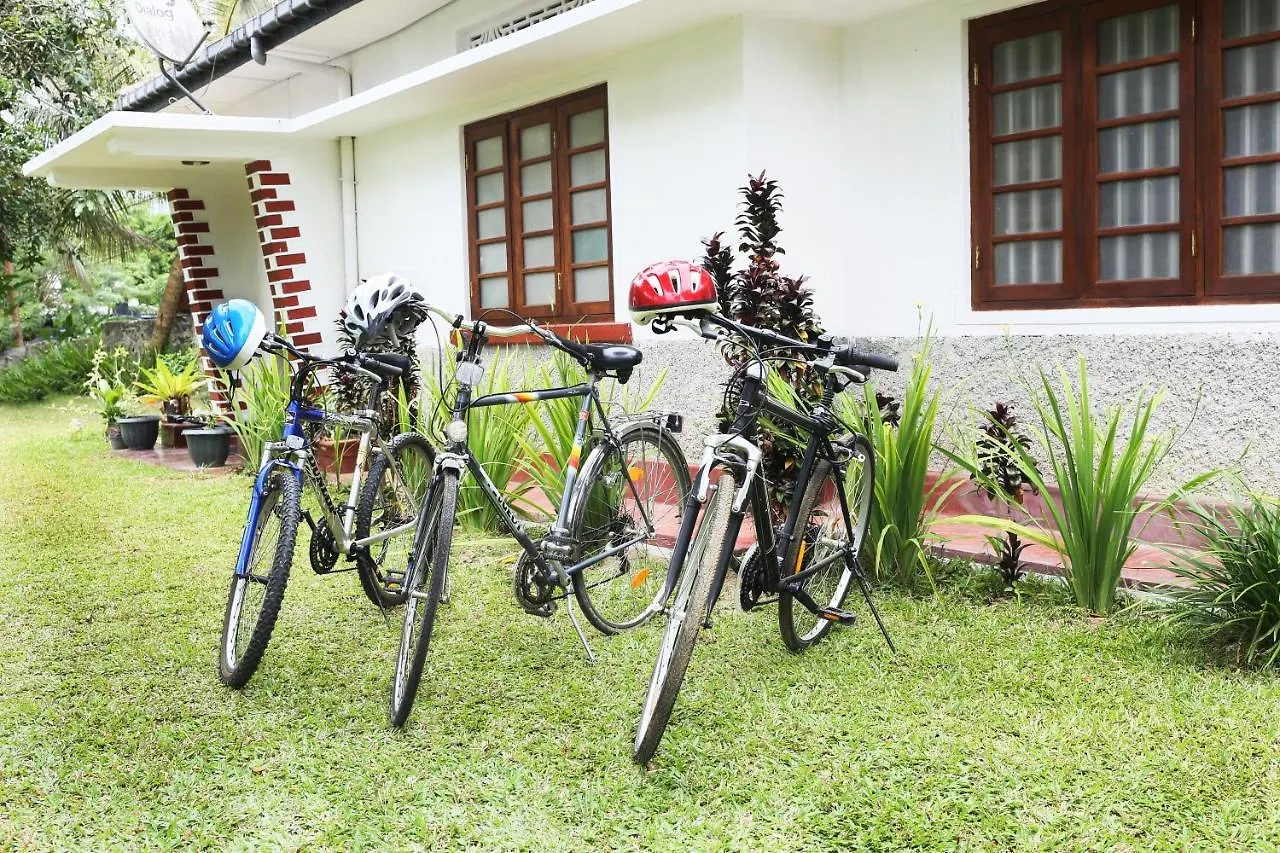 Lion Shade Homestay Katugastota Sri Lanka