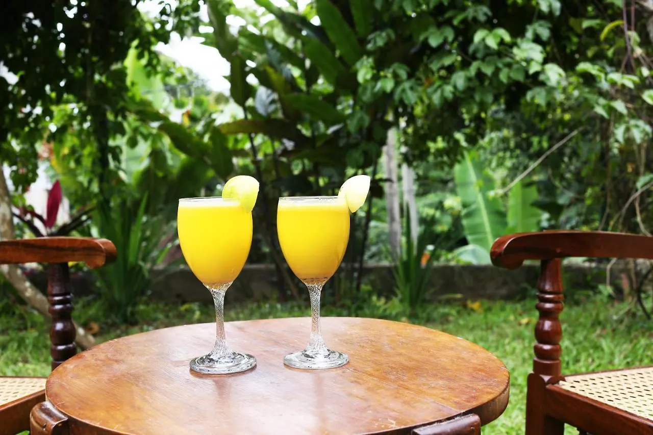 Lion Shade Homestay Katugastota