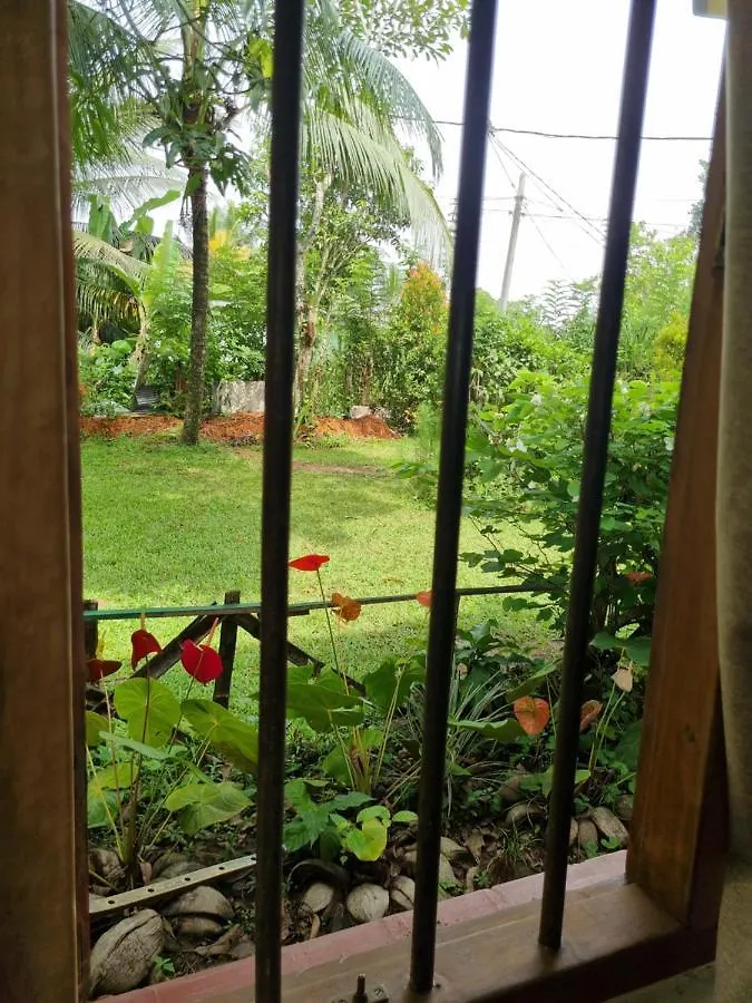 Lion Shade Homestay Katugastota