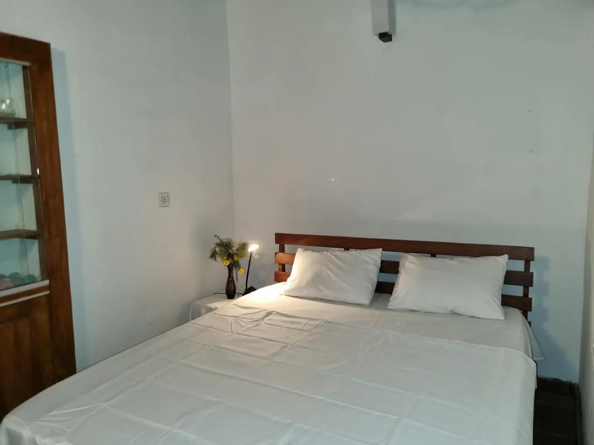 Lion Shade Homestay Katugastota